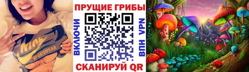 Псилоцибиновые грибы Psilocybine cubensis купить цена Астрахань
