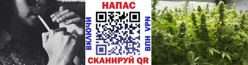 Конопля ГИДРОПОН  Астрахань 